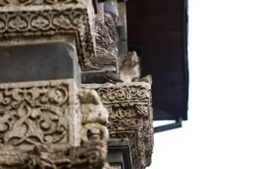 Amed Ulu Cami, Diyarbakır, taş işçiliği, sütun başlıkları, güvercinler