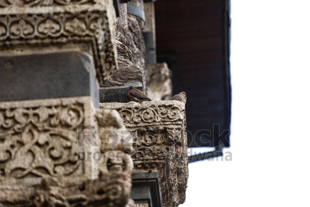 Amed Ulu Cami, Diyarbakır, taş işçiliği, sütun başlıkları, güvercinler