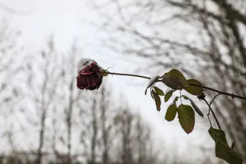 Amed'in tarihi  surlarına yağan karın oluşturduğu kartpostallık ve masalsı manzaralar ve çocukların neşesinin yansıdığı fotoğraf  kareleri