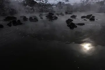 Bitlis Güroymak Budaklı Kaplıcası, buhar, mandalar ve kış manzarası