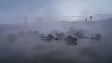Bitlis Güroymak Budaklı Kaplıcası, buhar, mandalar ve kış manzarası