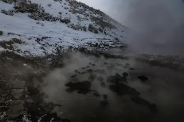 Bitlis Güroymak Budaklı Kaplıcası, kar, buhar ve sıcak suda mandalar