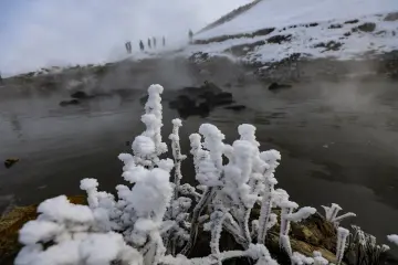 Bitlis Güroymak Budaklı Kaplıcası, karlar içinde mandalar ve termal su manzarası