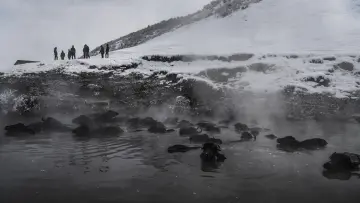 Bitlis Güroymak Budaklı Kaplıcası, kar, sıcak su, buhar ve manda sürüsü
