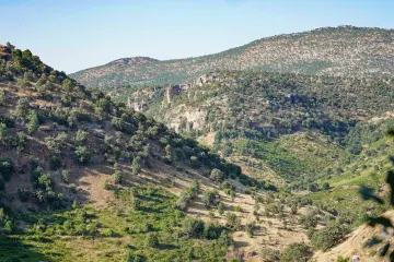 Amed Geliyê Godernê dağlık vadi ve meşe ağaçları manzarası
