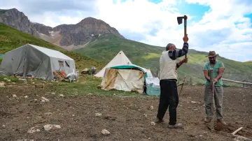 Dersim Buyer Dağı'nda yayla yaşamı ve tarım çalışması