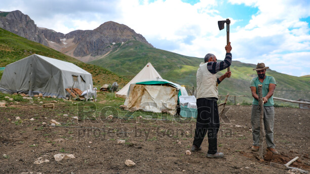 Dersim Buyer Dağı'nda yayla yaşamı ve tarım çalışması