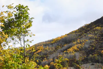 Dersim Pülümür Salördek sonbahar ormanları ve dağ manzarası