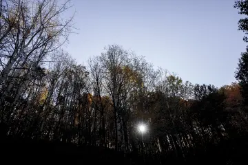 Dersim Pülümür Vadisi sonbahar ormanı ve ağaçlar arasından süzülen güneş ışığı