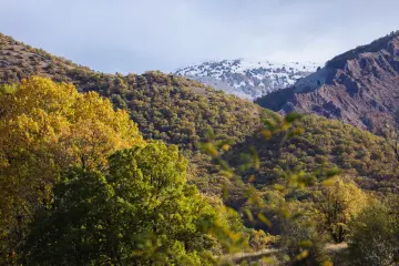 Dersim Pülümür Vadisi sonbahar ormanları ve karla kaplı dağ manzarası