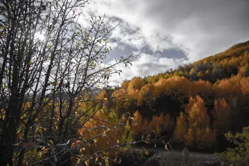 Dersim Pülümür Vadisi sonbahar ormanları ve sarı yapraklarla kaplı dağ manzarası