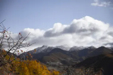 Dersim Pülümür Vadisi sonbahar manzarası ve sarı ormanlar
