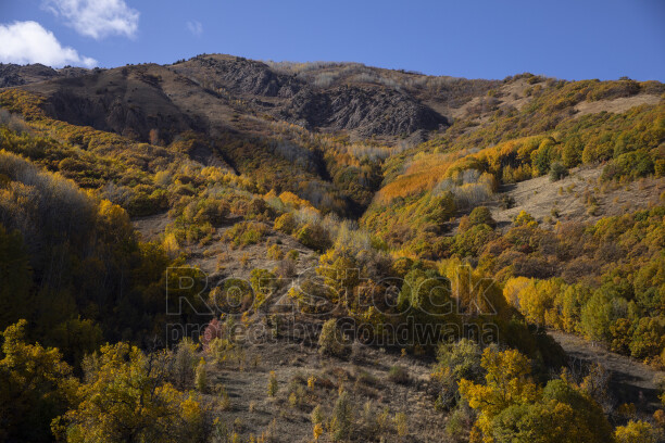 Dersim Pülümür Vadisi sonbahar renkleri ve dağlık doğa manzarası