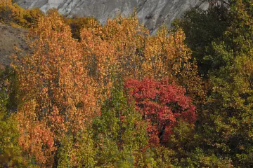 Dersim Pülümür sonbahar manzarası ve renkli ağaçlar