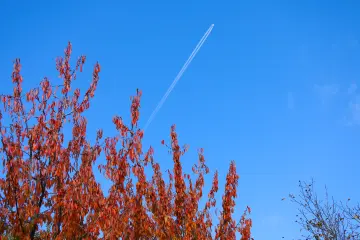 Dersim Pülümür sonbahar manzarası, mavi gökyüzü ve uçak izi