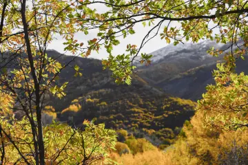 Dersim Pülümür sonbahar ağaçları arasından karlı dağ manzarası