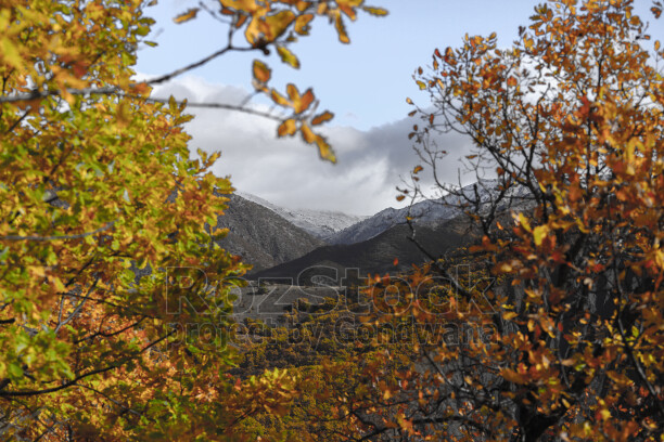 Dersim Pülümür sonbahar ağaçları arasından karlı dağ manzarası
