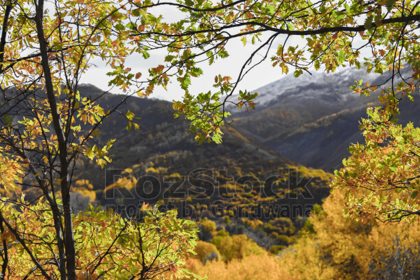 Dersim Pülümür sonbahar ağaçları arasından karlı dağ manzarası