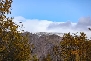 Dersim Pülümür sonbahar ağaçları ve karlı dağ manzarası