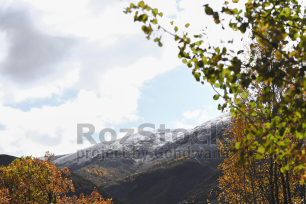 Dersim Pülümür sonbahar ağaçları arasından karlı dağ manzarası