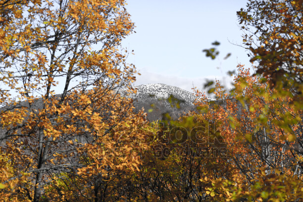 Dersim Pülümür sonbahar ağaçları arasından karlı dağ manzarası