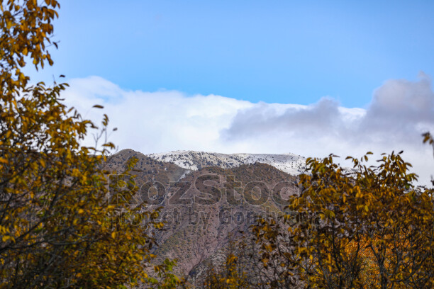 Dersim Pülümür sonbahar ağaçları ve karlı dağ manzarası