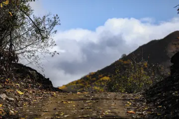 Dersim Pülümür sonbahar orman yolu ve dağ manzarası