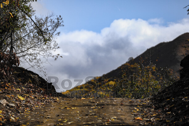 Dersim Pülümür sonbahar orman yolu ve dağ manzarası