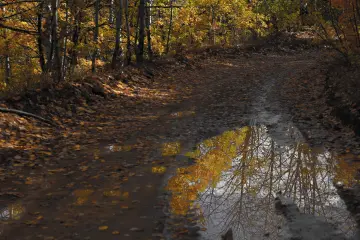 Dersim Pülümür sonbahar ormanı ve su birikintili yol