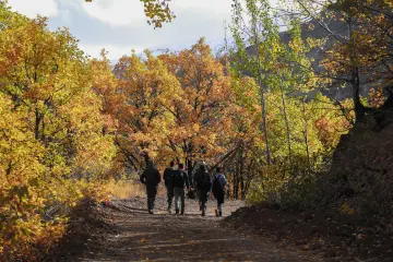 Dersim Pülümür sonbahar ormanında doğa yürüyüşü manzarası