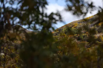 Dersim Pülümür sonbahar ormanları ve dağ manzarası
