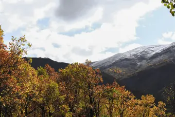 Dersim Pülümür sonbahar ormanları ve karla kaplı dağ manzarası