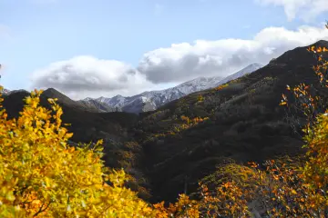 Dersim Pülümür sonbahar ormanları ve karla kaplı dağ manzarası
