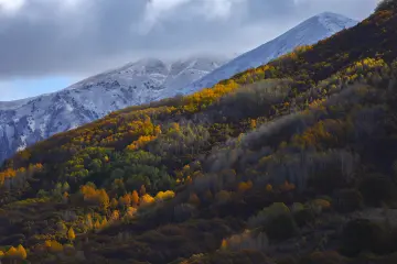 Dersim Pülümür sonbahar ormanları ve karla kaplı dağ manzarası