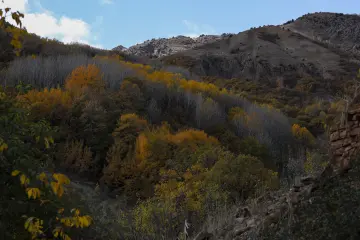 Dersim Pülümür sonbahar ormanları ve kayalık dağ manzarası