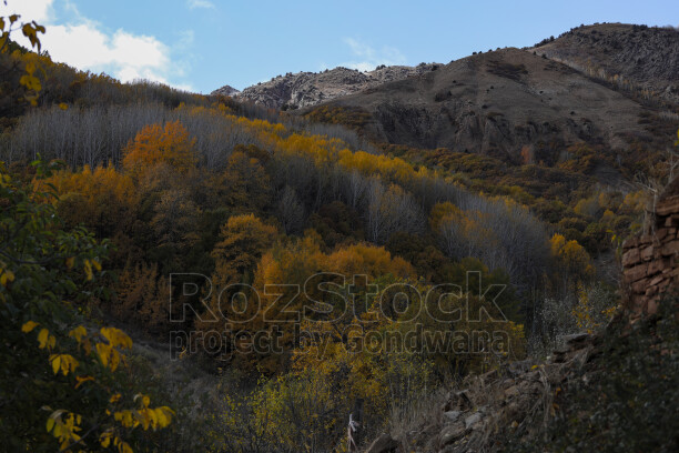 Dersim Pülümür sonbahar ormanları ve kayalık dağ manzarası