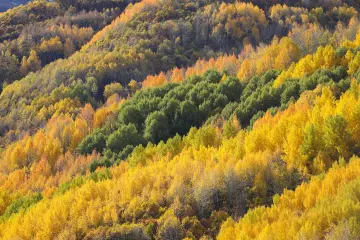 Dersim Pülümür sonbahar ormanları ve renkli dağ manzarası