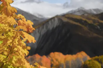 Dersim Pülümür sonbahar yaprakları ve dağ manzarası
