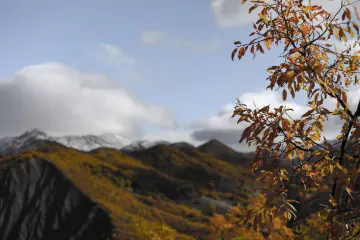 Dersim Pülümür sonbahar yaprakları ve karla kaplı dağ manzarası