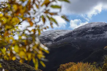 Dersim Pülümür sonbahar yaprakları arasından karlı dağ manzarası