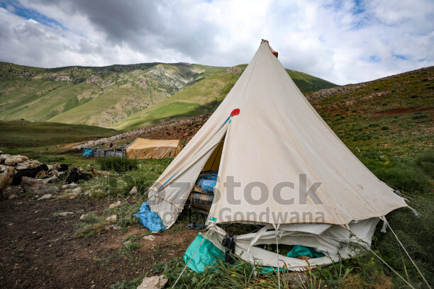 Dersim yaylasında geleneksel çadır, koyun sürüsü ve dağ manzarası yaylacılık yaşamını yansıtıyor.