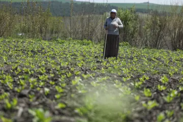 Dêrsim'de yaşlı insan portreleri
