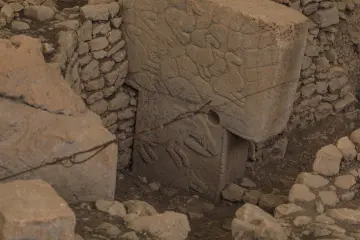 Göbeklitepe'deki T biçimli dikili taş üzerinde bulunan hayvan kabartmalarının yakın plan görüntüsü.