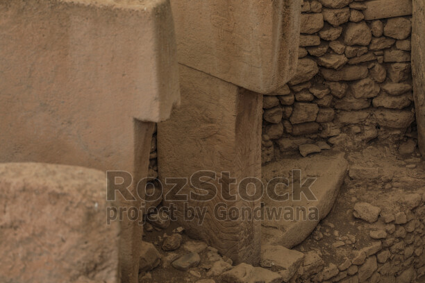 Göbeklitepe T biçimli dikili taş üzerindeki kabartma detaylarının yakın plan görünümü.