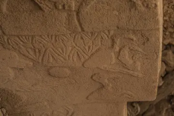 Göbeklitepe T biçimli dikilitaş üzerindeki hayvan kabartmalarının yakın plan görüntüsü ve Neolitik taş işçiliği.