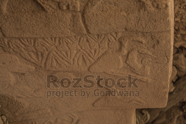 Göbeklitepe T biçimli dikilitaş üzerindeki hayvan kabartmalarının yakın plan görüntüsü ve Neolitik taş işçiliği.