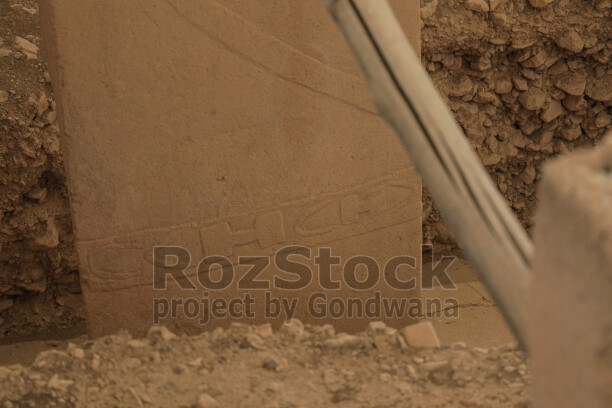 Göbeklitepe'deki T biçimli dikilitaş üzerinde bulunan yılan kabartmasının yakın plan görünümü.