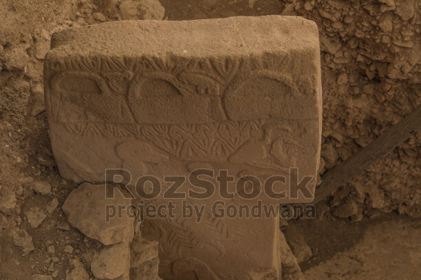 Göbeklitepe'de bulunan hayvan kabartmalı taş dikmenin yakın plan görünümü ve Neolitik Dönem taş oymacılığı.