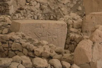 Göbeklitepe'de bulunan hayvan kabartmalı Neolitik taş bloğun yakın plan görüntüsü ve arkeolojik taş işçiliği.