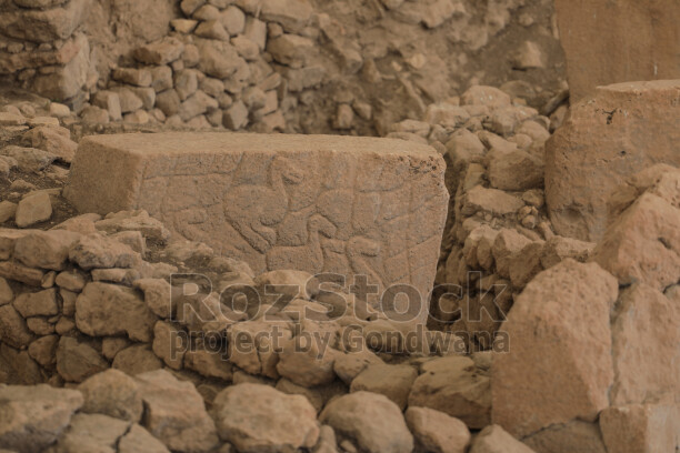 Göbeklitepe'de bulunan hayvan kabartmalı Neolitik taş bloğun yakın plan görüntüsü ve arkeolojik taş işçiliği.